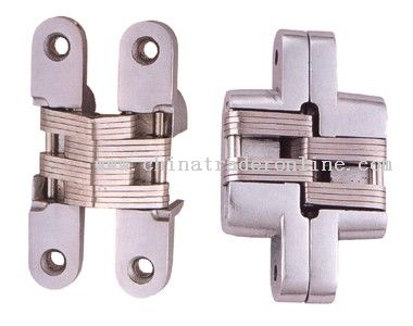 zinc alloy conceal hinge from China