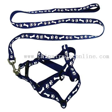 Dog Leash from China