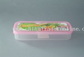 lengthen keeping fresh container(S) from China