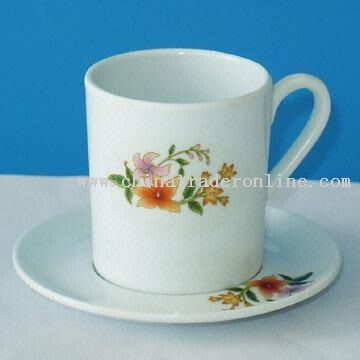 Melamine Cup and Saucer Set with Floral Paint from China