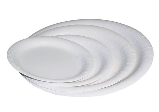 Disposable White Paper Plate