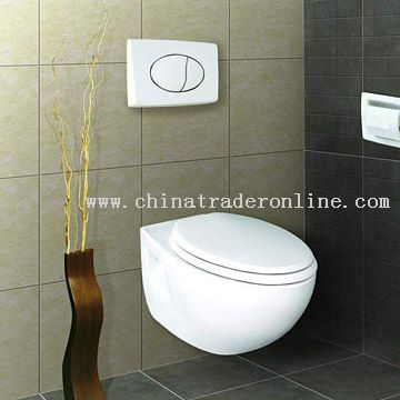 Washdown Wall Mounted Toilet from China