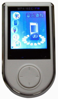 Flash MP4 Player