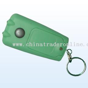 Mobile Torch With Key chain from China