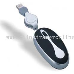 Flash memory mouse from China