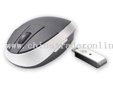 2.4GHz Wireless Mouse from China