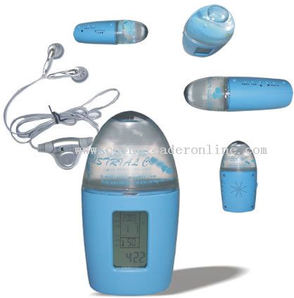 Pedometer with FM Perpetual calendar from China