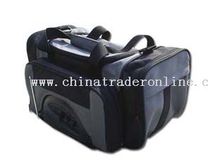 Gray Travelling bag radio from China