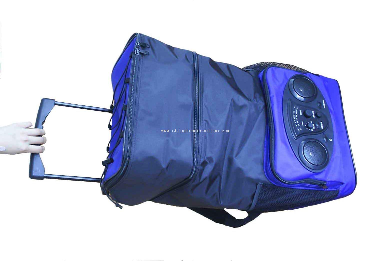 Travelling cooler radio from China