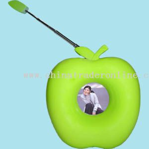 apple radio from China