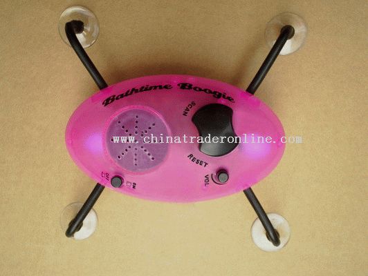 Shower Radio from China