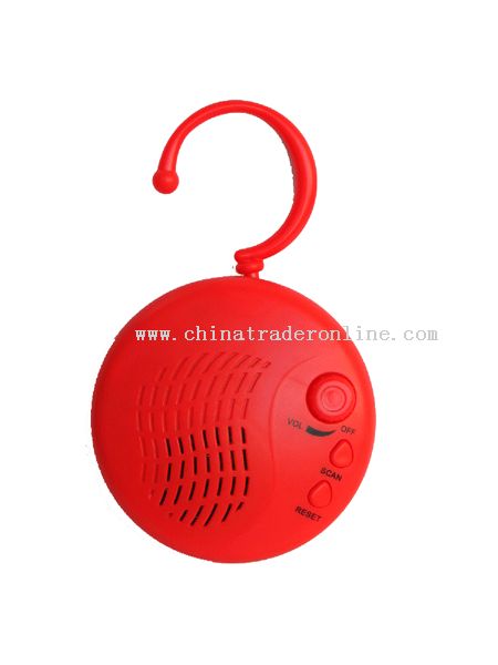 shower radio with hook