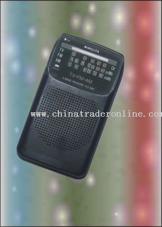 AM/FM/TV Display Digital Clock from China