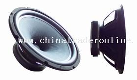 10 inch Single-Point Concentric Loudseaker from China