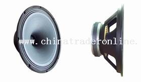 12 inch Single-Point Concentric Loudseaker from China