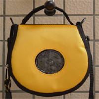 bags with speaker