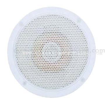 In Ceiling and in Wall Speaker