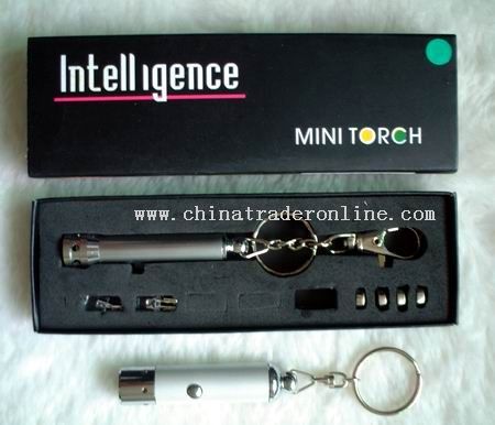 Small LED Flashlight from China