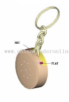 Recording Keychain from China