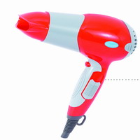 Ionic Hair Dryer from China