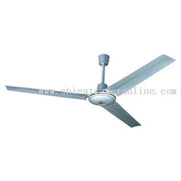 Ceiling Fan 