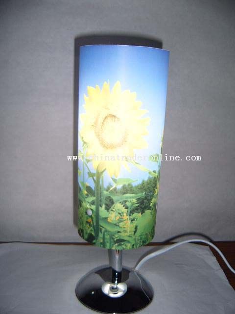 The colored desk lamp on the sunny side from China