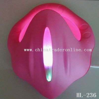 LED colorful Wall Lamp from China