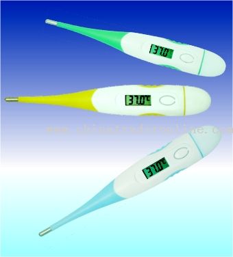 Flexible Digital Thermometer