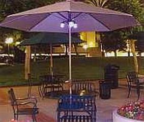 solar umbrella lights