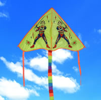 kite from China