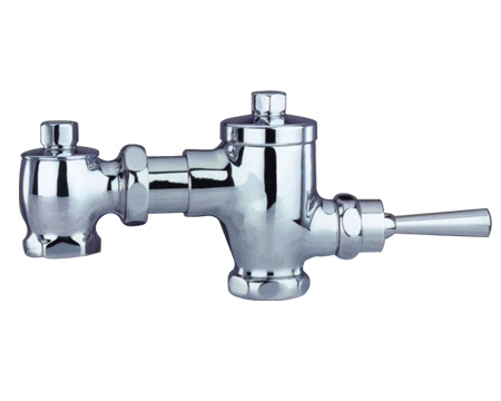 Handle Control Flush Valve with Time Delay from China