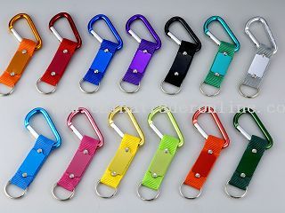 carabiner key chain