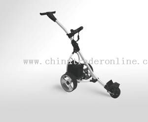 Digital Amazing electrical golf buggy from China