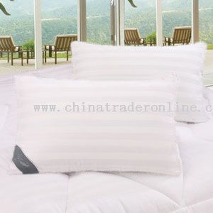 silk pillow from China