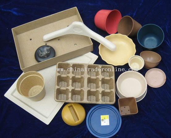 biodegradable flower pot with your favoriate design and color from China