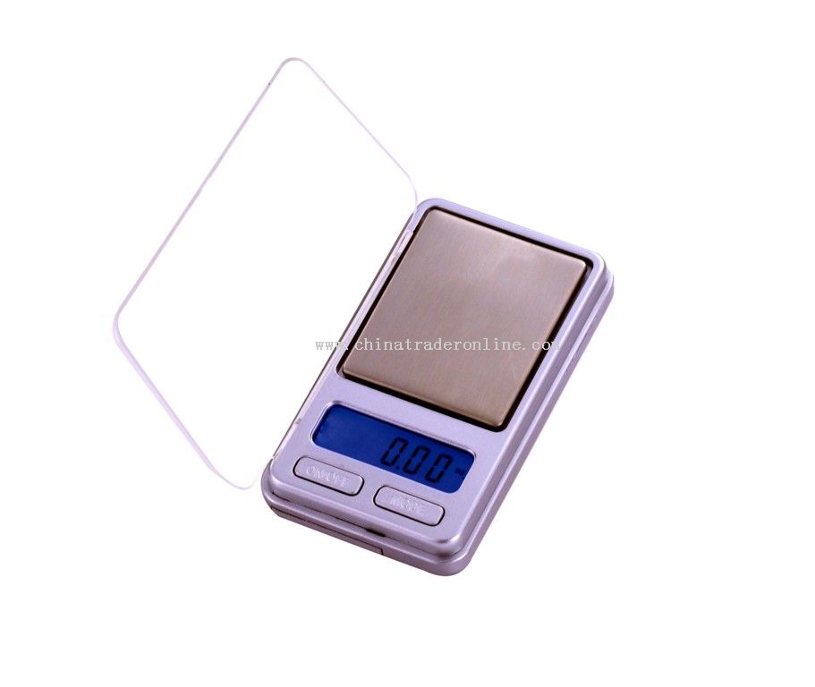 Digital LCD Scale