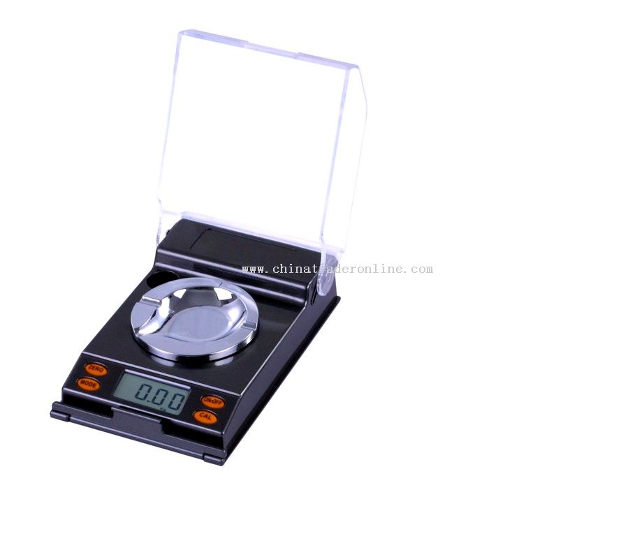 Digital LCD scale