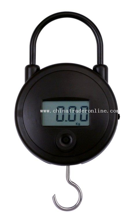 25kg high quality hanging scale from China