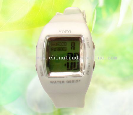 multi-functions electronic watch