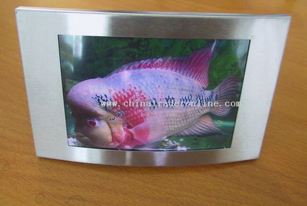 Stainless Steel Photo Frame