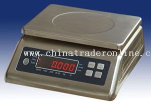 Stainless Steel Weighing Scale