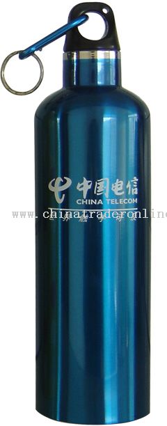 750ml Double-wall stainless steel vacuum bottle from China