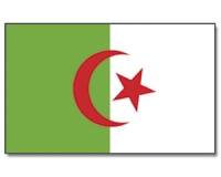 Flag Algeria 90 x 150 from China