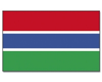 Flag Gambia 90 x 150 from China