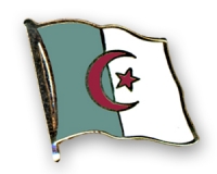 Flag Pins Algeria (swinging) from China