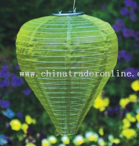 China Silk Effect Solar Lantern from China