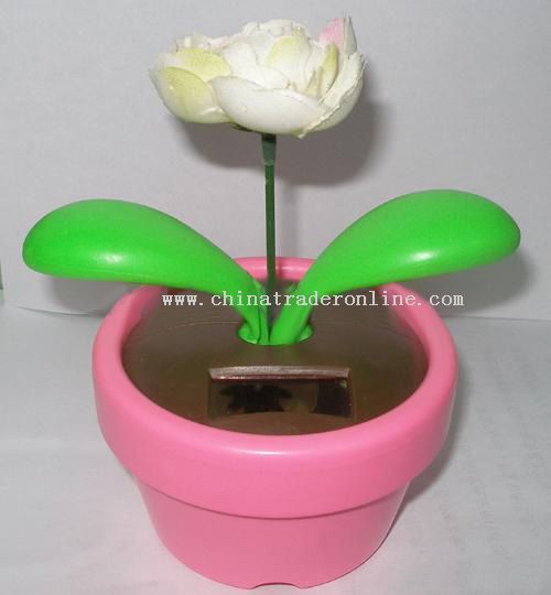 Solar Flowerpot,Solar Toy from China