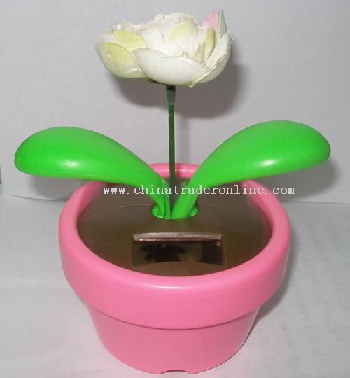 Solar Flowerpot,Solar Toy