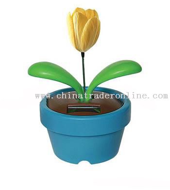 Solar Flowerpot,Solar Toy