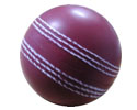 Pu Cricket Ball